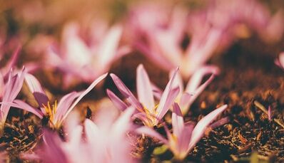 Как сделать амулет на удачу своими руками